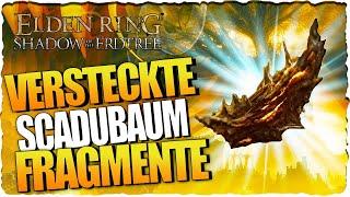 Versteckte Scadubaum-Fragmente  Schnell Leveln  Shadow of the Erdtree Guide Deutsch