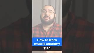How to learn muscle anatomy - tip 1 #anatomy
