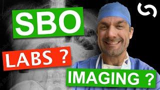 Small Bowel Obstruction - Imaging and Labs
