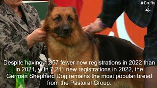 2022s New Registration Numbers - Pastoral Group