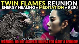 Raven Spirit Guide Healing The Twin Flames Sacred Bond 