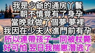 我是少爺的通房丫鬟，一朝不慎竟有了身孕，當晚就做了個夢，夢裡，我因在少夫人進門前有孕，所以連帶孩子一同被杖斃，好可怕，翌日我揣著崽潛逃了 【美好人生】