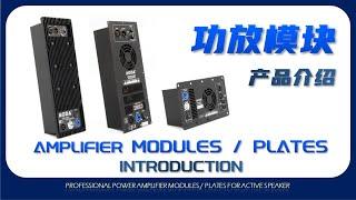 Aoda Amplifier Modules for active speakers