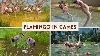 Greater Flamingo Comparison in 4 Games 