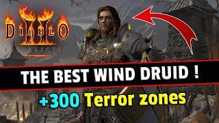 This Wind DRUID build is busted  Diablo 2 resurrected