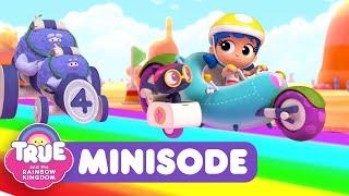 Rainbow Race  NEW Minisode  True and the Rainbow Kingdom   ️