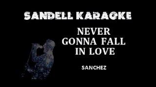Sanchez - Never Gonna Fall In Love Karaoke