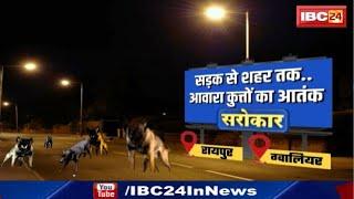 Street Dog Attack आवारा कुत्ते..जान को खतरा  Sarokar में देखिए Raipur और Gwalior के गली में कुत्ते