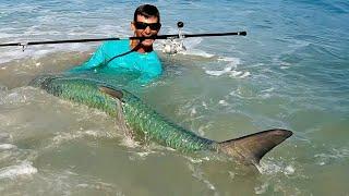 Monster Fish at Florida Beach - Surf Fishing Tarpon