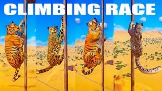 Climbing Animals Speed Races in Planet Zoo included Jaguar Siberian Tiger  Bengal Tiger Leopard