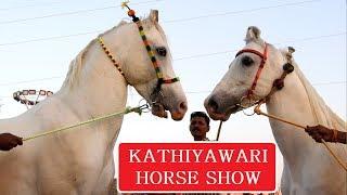 कठियावरी हॉर्स शो  KATHIYAWADI STALLION RING  SARANGKHEDA - Indian Horses