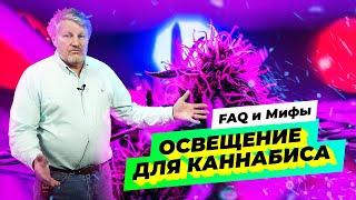 Освещение для канабиса  FAQ и Мифы  Итоги Конкурса  Озвучка Dzagi