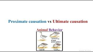 Proximate causation vs Ultimate causation