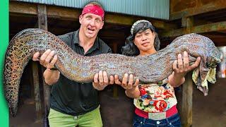 Giant Slimy Eel Insane Indonesian Food of the Bugis Tribe