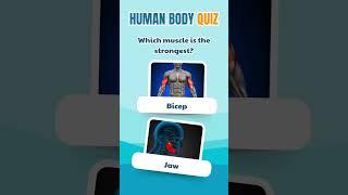 Can You Guess These Human Body Facts?   Fun Body Quiz Challenge