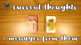  THEIR CURRENT THOUGHTS + MESSAGES FROM THEM   Timeless Tarot Reading 