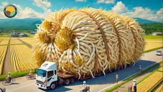 Japanese Farmers Harvest Giant Bean Sprouts Japan Agriculture Technology  Farming Documentary