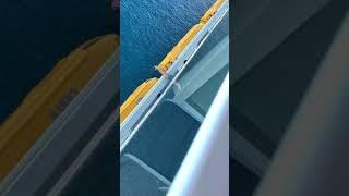 Guy jumps off largest cruise ship in the world symphony of the seas aftermath