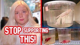STOP Rescuing Fish from Chain Pet Stores