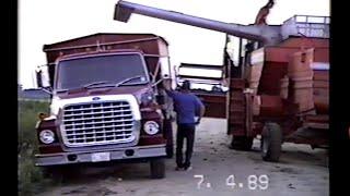 Z Crew - The Early Years Wheat Harvest 1989 Part 1 Massey Ferguson combines