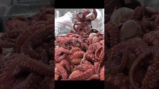 Extreme job Overwhelming parboiled octopus factory #Shorts