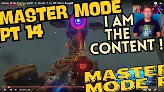 Master Mode Playthrough Pt 14 - Breath of the Wild Made Easy Live Breath of the Wild Gameplay