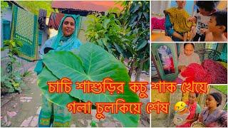 চাচি শাশুড়ির কচু শাক খেয়ে গলা চুলকিয়ে শেষ TANJU