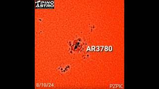 Daily Sunspots August 10 2024 81024 #sun #solar #sunspots #seestar #SolarObservation