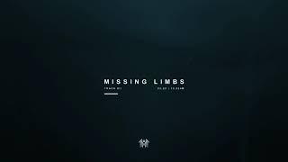 Sleep Token - Missing Limbs Visualiser