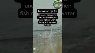 The Best Topwater Fishing Techniques for Any Angler #shorts #topwater #fishing