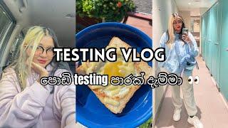 පොඩි testing පාරක් දැම්මා  _Sri lankan vlog