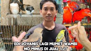 KIOS EDI JOVANIS BURUNG WAMI DI JUAL 1 JUTA.