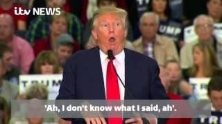 Donald Trump appears to mock a reporters disability