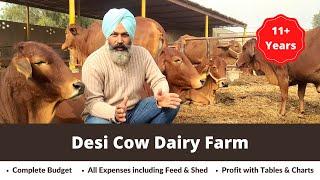 Desi Cow Dairy Farm  Feed Shed & Profit