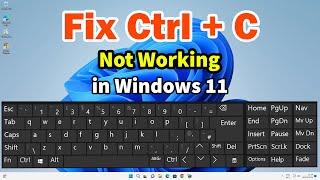 How to Fix Ctrl + C Not Working in Windows 11 PC or Laptop