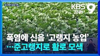 폭염에 신음하는 ‘고랭지 농업’…준고랭지로 활로 모색  KBS  2024.08.13.