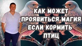 Переживите финансовые трудности с магией птичьего кормления тайны и практика Андрея Дуйко