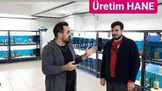 Üretim Hane Gezimiz   FSF Akvaryum