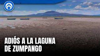 Laguna de Zumpango muere por sequía