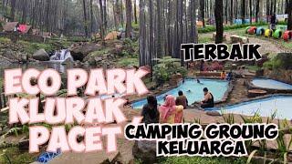 Klurak eco park Pacet camping ground keluarga dan ramah anak  penuh sarana permainan kolam renang