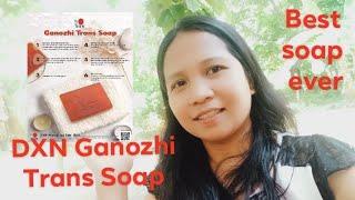 DXN  Ganozhi Trans soap