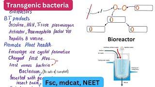 Transgenic bacteria  Biotechnology products  class 12