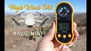MAVIC Mini Wind Test - REAL TEST in High Winds - ALMOST LOST IT