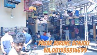 Pasar burung bonjoli tiap hari rame banget harga terjangkau