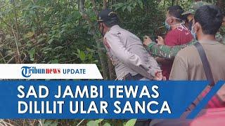 Pihak Keluarga Sempat Tolak Kubur Warga Suku Anak Dalam Jambi yang Tewas Saat Bertarung dengan Ular