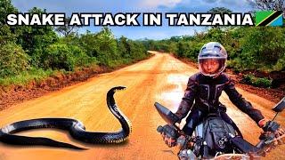 WRONG TURN Snake Attack In Tanzania Africa S1 Ep 14