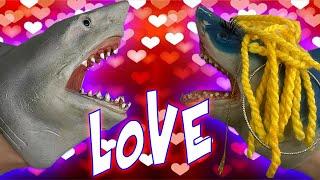 SHARK PUPPET FALLS IN LOVE ON VALENTINES DAY