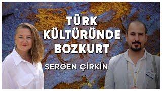 Türk Kültüründe Bozkurt