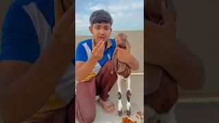 Animal ki help kardi ️ #emotional #shorts