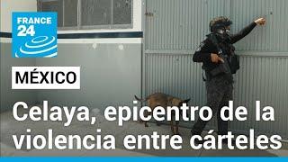 Carteles de droga libran brutal guerra territorial en Celaya la ciudad más peligrosa de México
